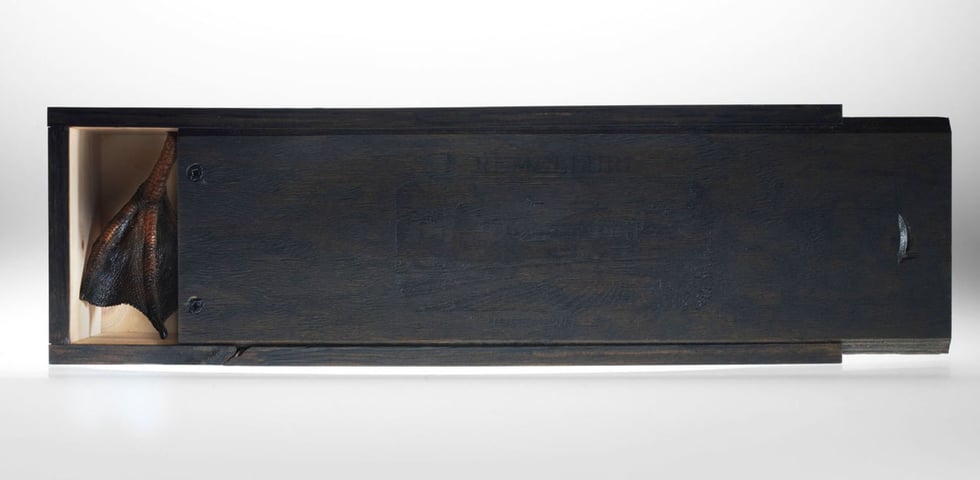 Werk: Gamelle, «Ente gut alles gut» Foto: Mike Niederhauser