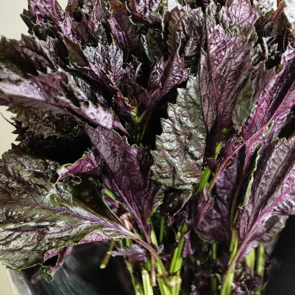 落合　南長崎　目白　椎名町　料理教室　エムズレッスン　