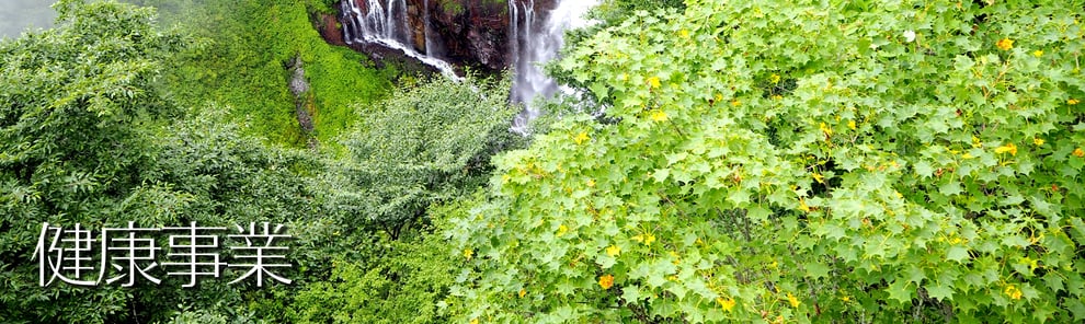健康事業