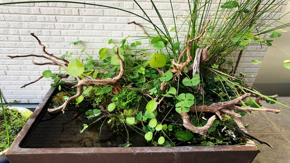 レイアウト素材の説明