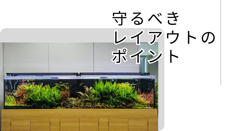 アクアリウムのレイアウトルールを説明