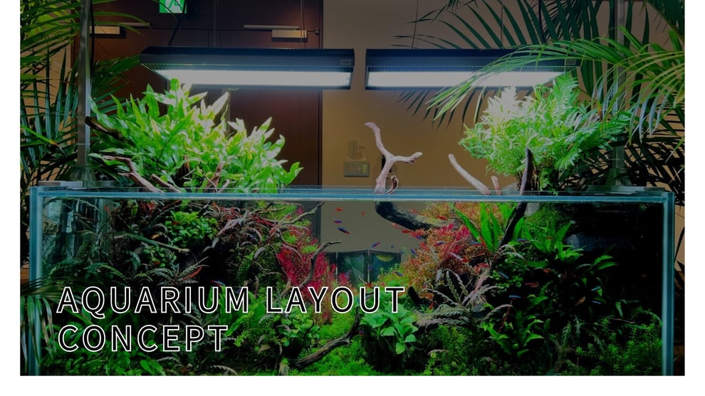 アクアリウムのレイアウトとはを説明