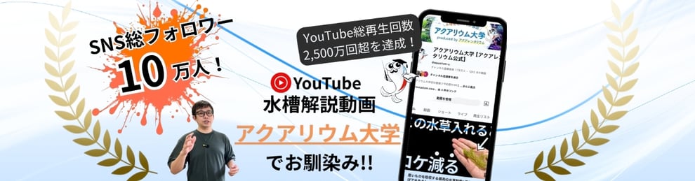 水槽素材のオーダーメイド水槽は大人気アクアリウム大学の公式オンラインショップ