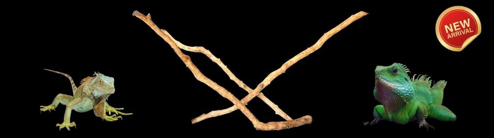 爬虫類の流木なら水槽素材