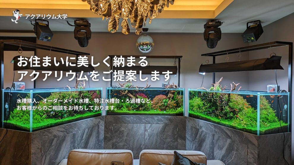 オーダーメイド水槽制作ならアクアレンタリウム