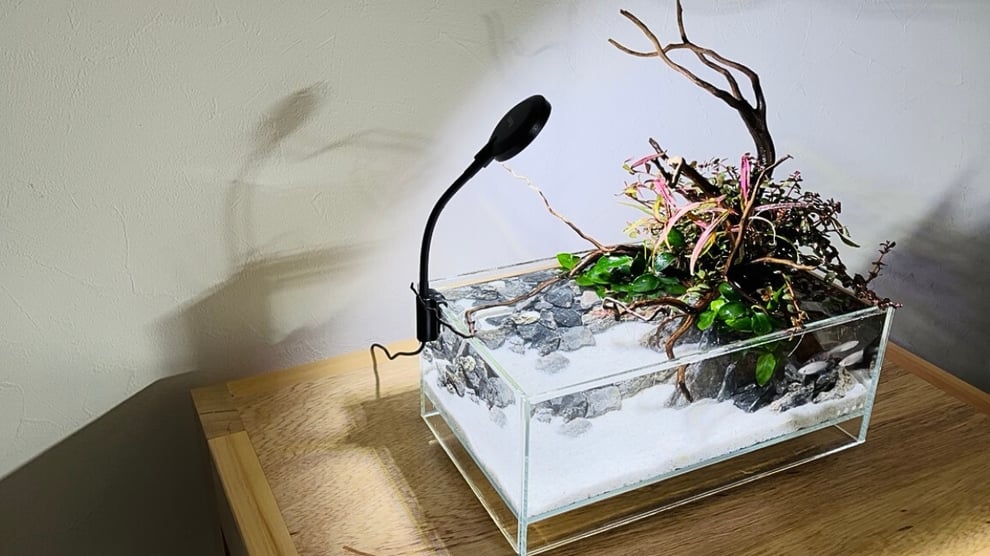 メダカレイアウトのまとめ