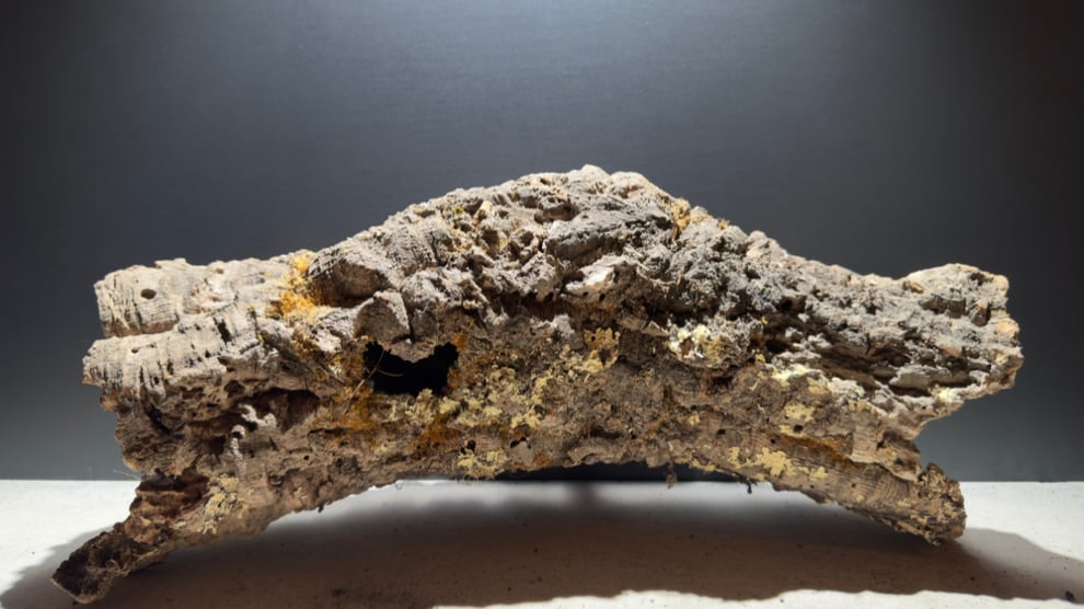 コルクの意味や使い方を説明します