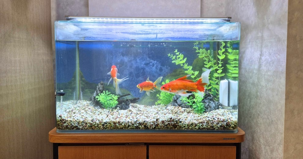 金魚レイアウトの基本構成