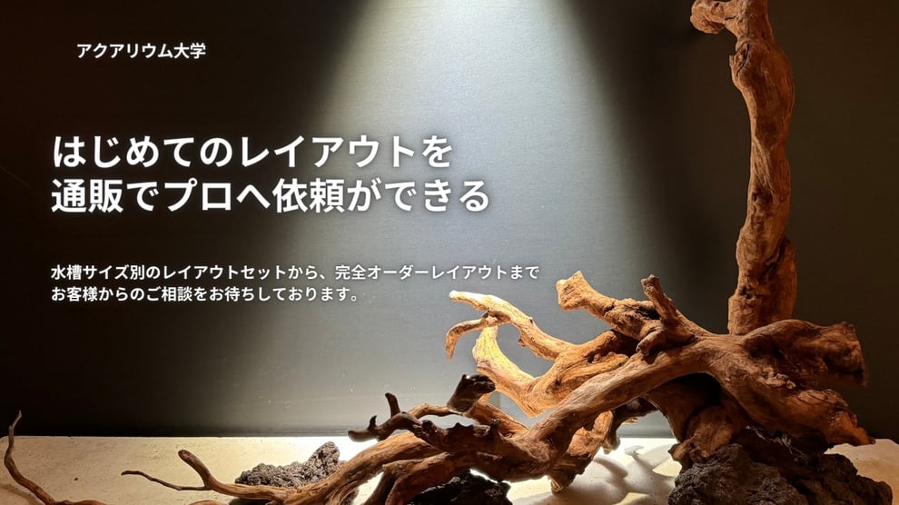 水槽素材のレイアウトセットについて