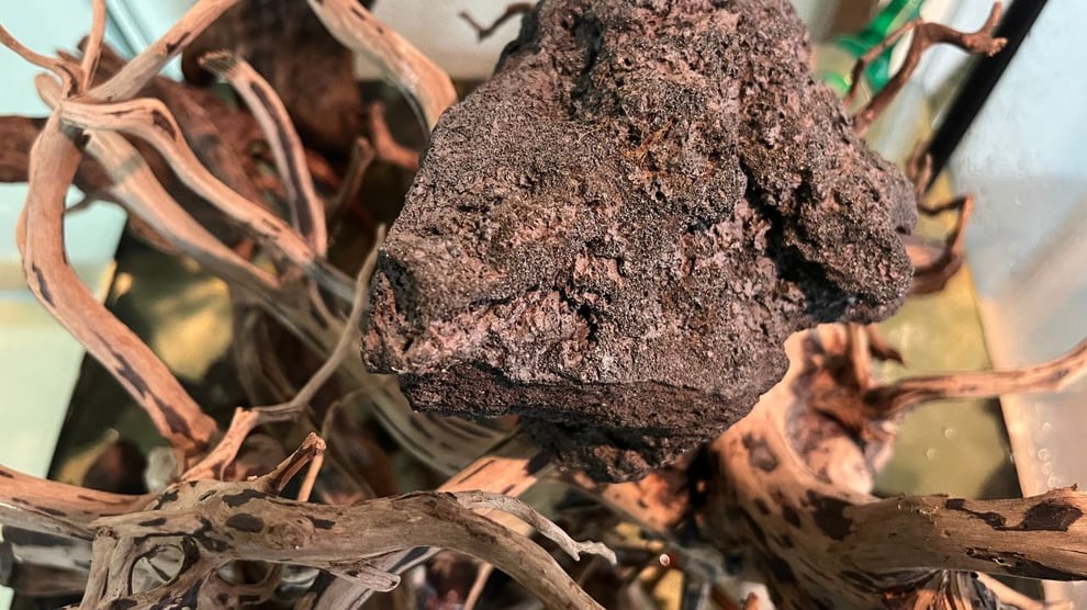 流木の沈め方についてを説明