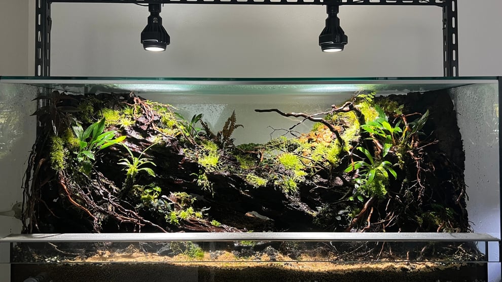 水槽素材の流木使用例について