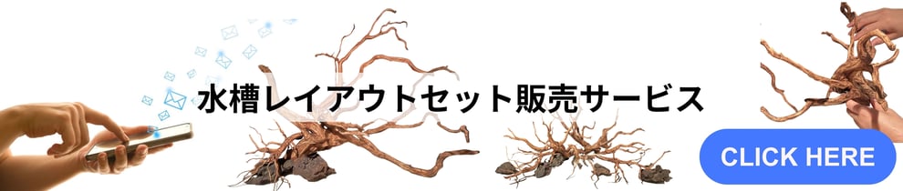 水槽レイアウトセットの販売ページの詳細リンク