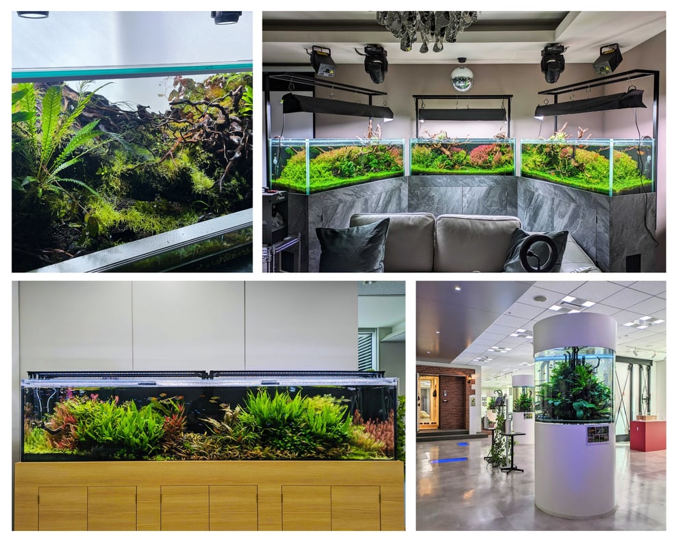 水槽素材のオーダーメイド水槽導入事例を説明