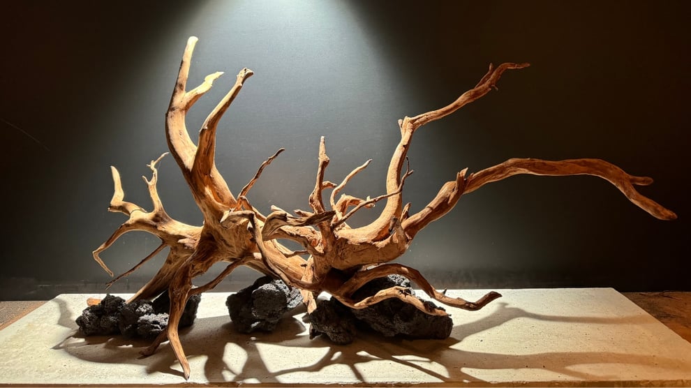 流木インテリアの活用アイデア