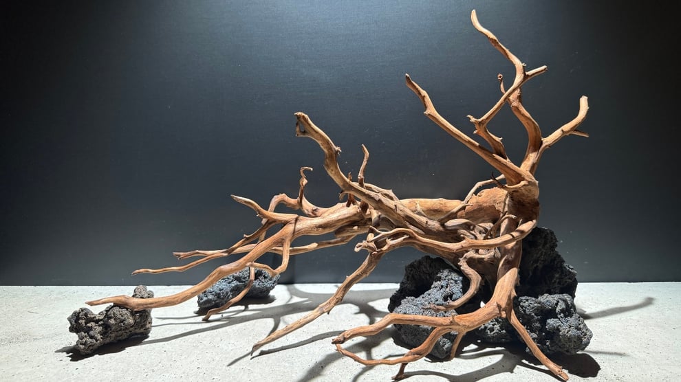 水槽素材物語について説明