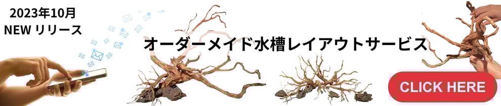 オーダーメイド水槽レイアウトの紹介ページを説明