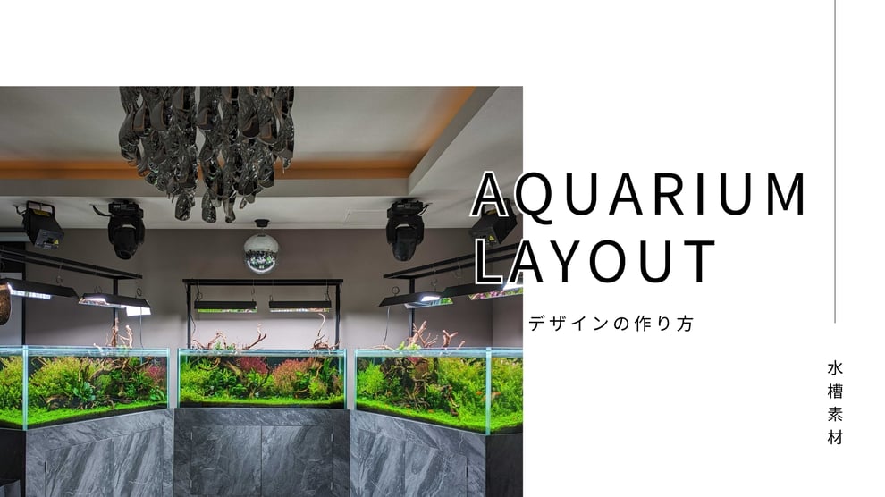 アクアリウムのレイアウト方法や特徴を説明