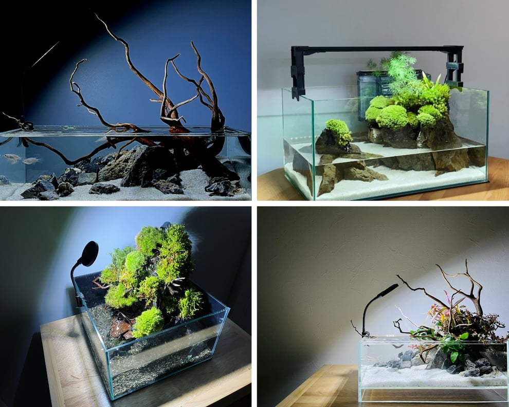 メダカ水槽のレイアウト事例