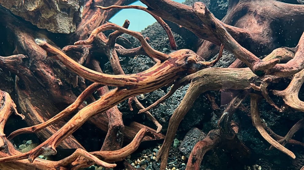 ハードスケープ