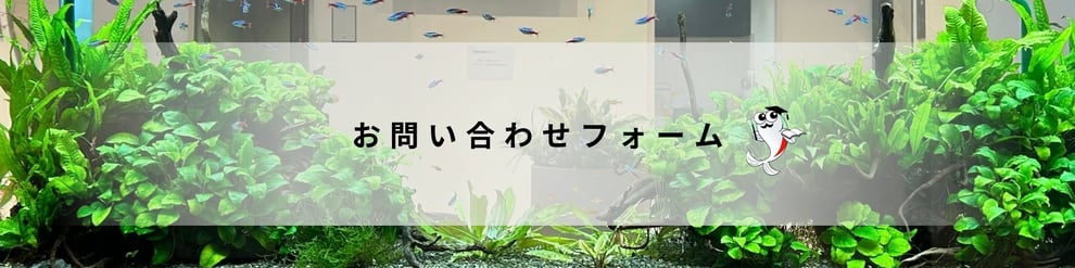 オーダーメイド水槽の製作ならアクアレンタリウム