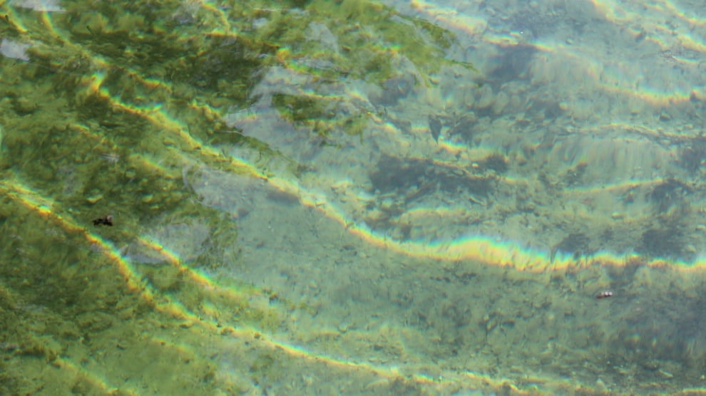 グリーンウォーターの作り方