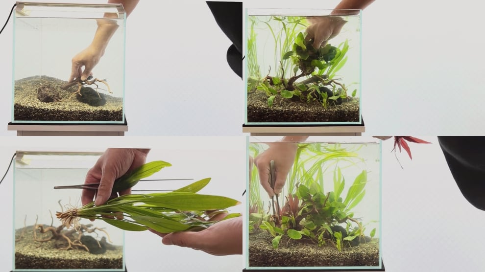 流木に利用方法についてを説明