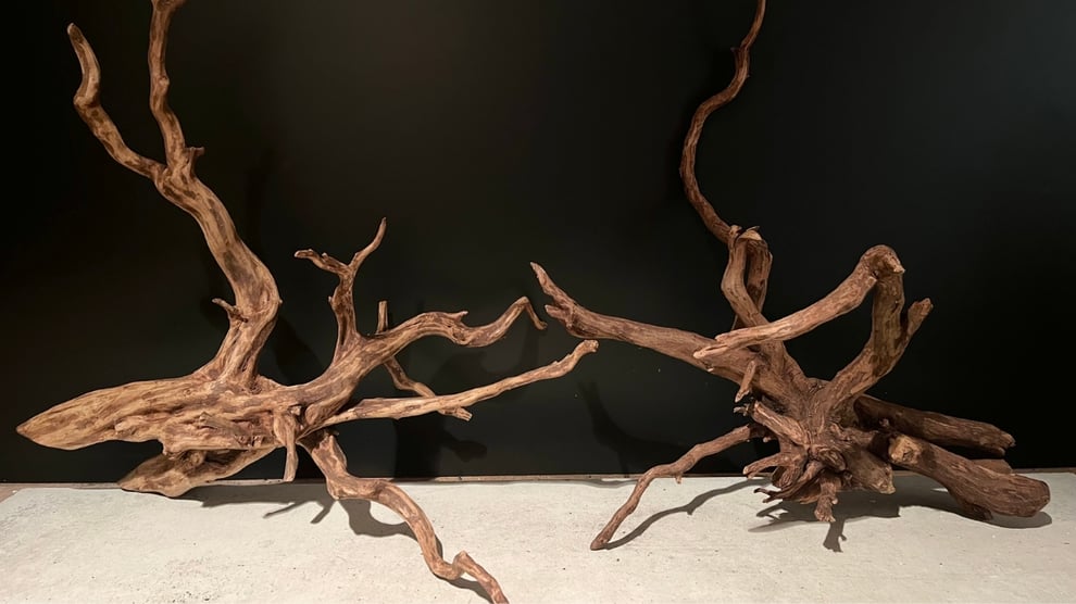 流木レイアウトのながれ