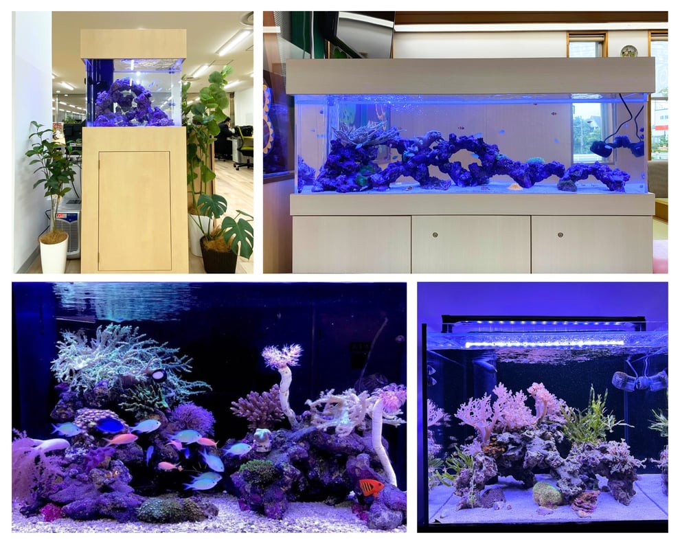 マリンアクアリウムのオーダーメイド水槽の導入事例を説明