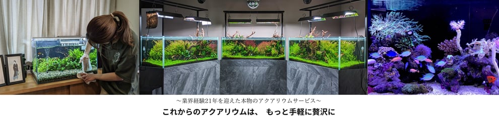 アクアリウムで不安な方が安心して問い合わせができる説明ページ