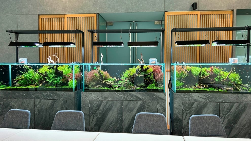 オーダーメイドガラス水槽ならアクアレンタリウム