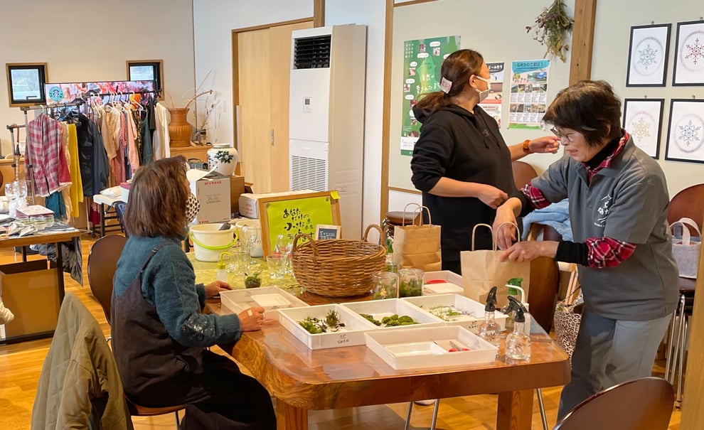 苔テラリウム作りも楽しめます♪