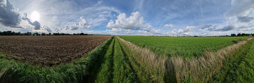 © D.Sepulchre Gîte de La Buissière, de nombreuses promenades peuvent se faire directement depuis le gîte à travers les campagnes.