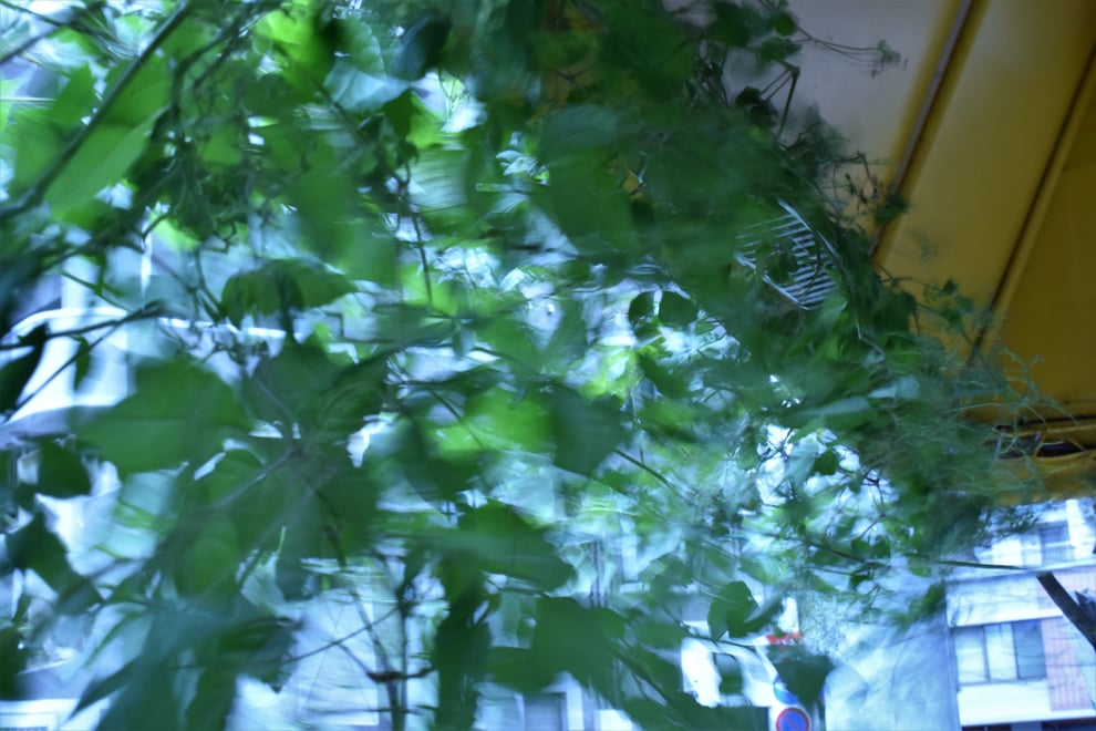 福岡平尾美容室