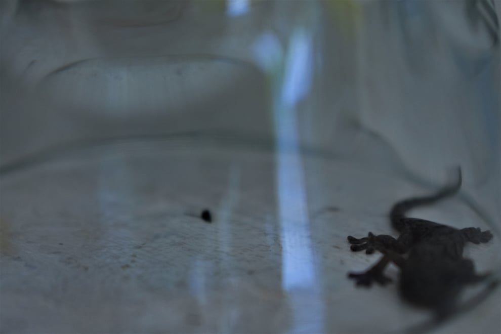 福岡平尾美容室