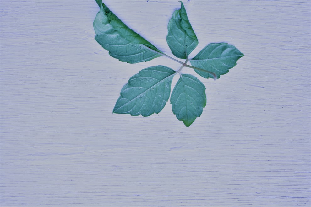 福岡平尾美容室