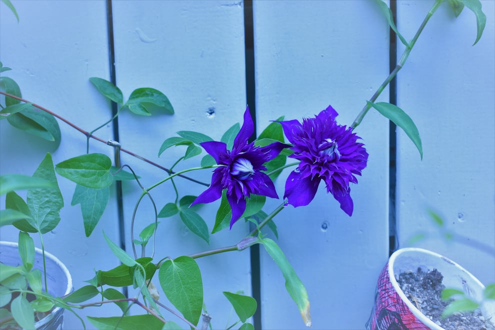 福岡平尾美容室