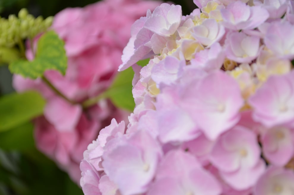 福岡平尾美容室 