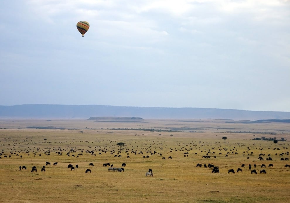 ケニアのバルーンサファリ