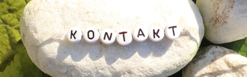 Libelle und Marienkäfer