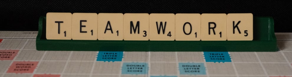 Teamwork Insights®Discovery