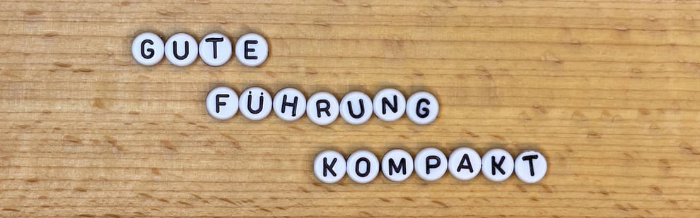 Workinar agile Führung