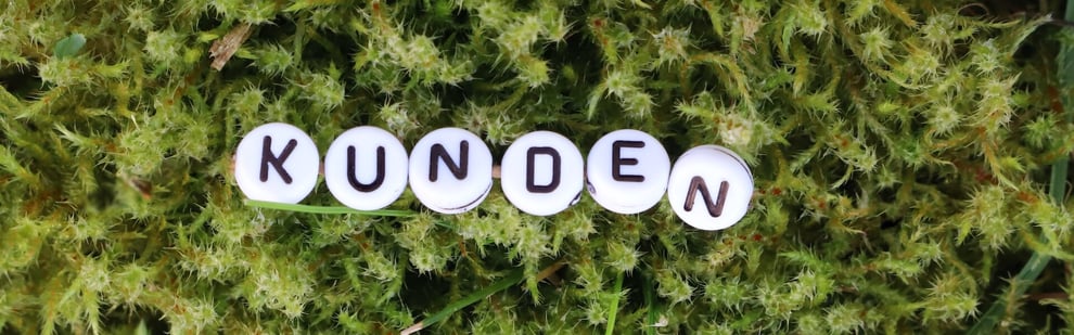 Drachen blauer Himmel