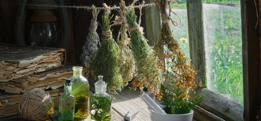 blog over de fabels en feiten over belladonna nachtschade en de kruiden die claire fraser gebruikte als medicijn in Outlander