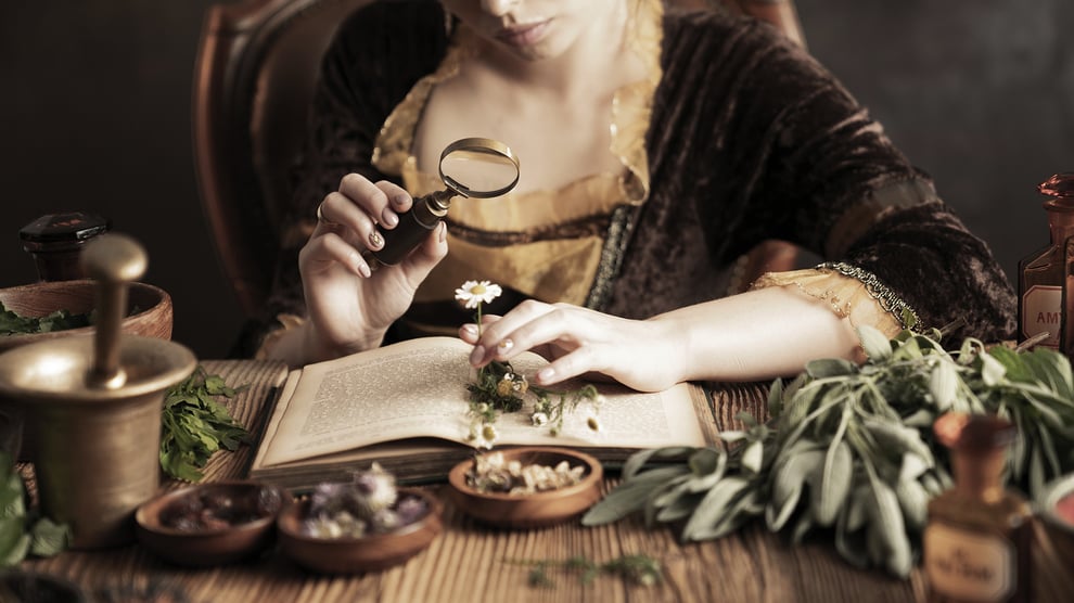 blog over de feiten en fabels over meidoorn en de medicijnen die Claire Fraser in Outlander gebruikt