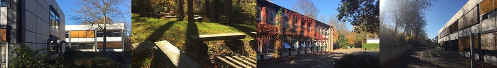 Waldschule Eschweiler