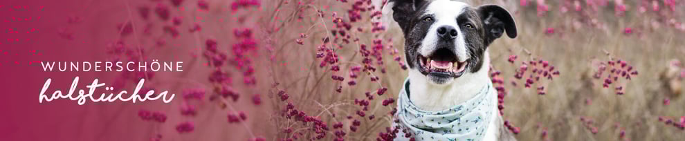 hundsoadli Wendehundehalstuch 