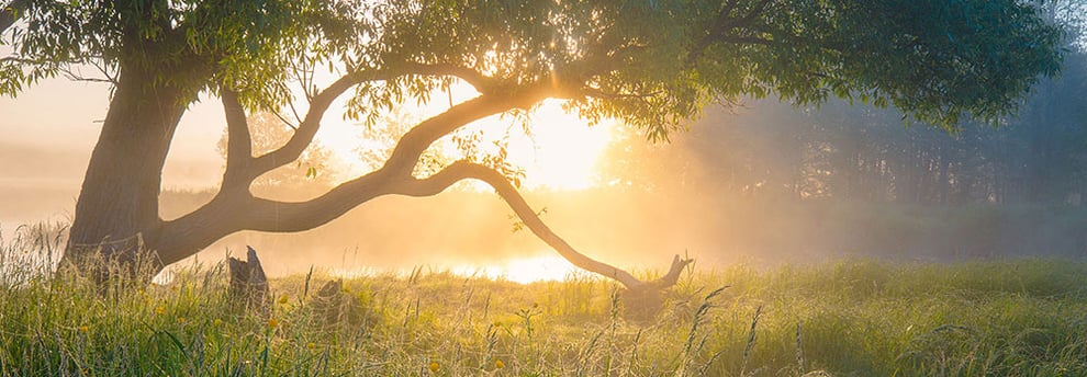 Sterbebegleitung für Tiere, Luzia Fischer, Tierärztin, Rombach bei Aarau