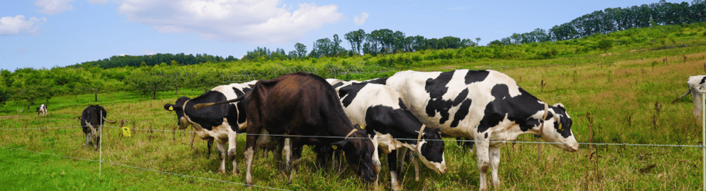 有限会社ベッセル 獣医環境衛生研究所について