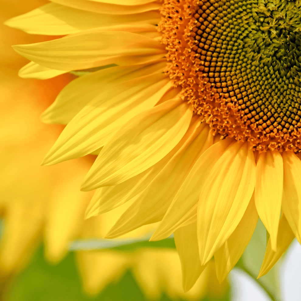  東京都 新宿区 子供 親子 大人 料理教室 エムズレッスン 料理研究家 山岡真千子