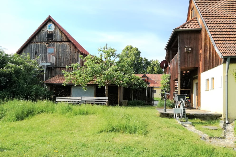 Lindenhof, ökologischer Kindergeburtstag, Bayreuth, Naturschutz, LBV, Landesbund für Vogelschutz